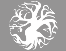 Maderos OÜ puude hooldus ja -raie