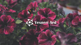 Vesneri Aed OÜ